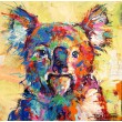 Koala 14
